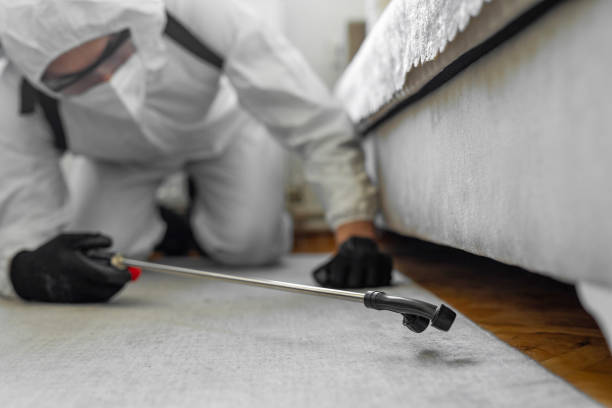 Professional Bed Bug Control technician working in Clay County County, IN
